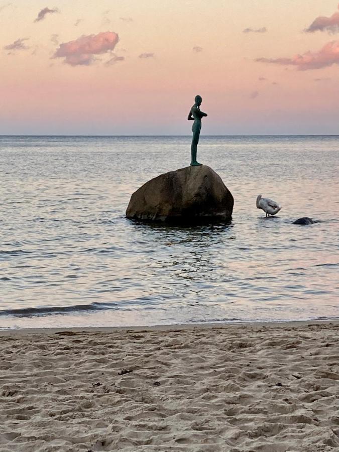 Strandhaus Manatee Mit Sauna Und Kamin Sellin  Εξωτερικό φωτογραφία